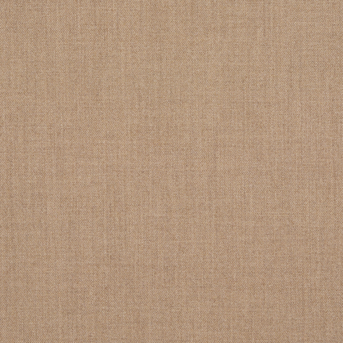 ATTICUS-WOOL-CAMEL-SCHUMACHER-81922