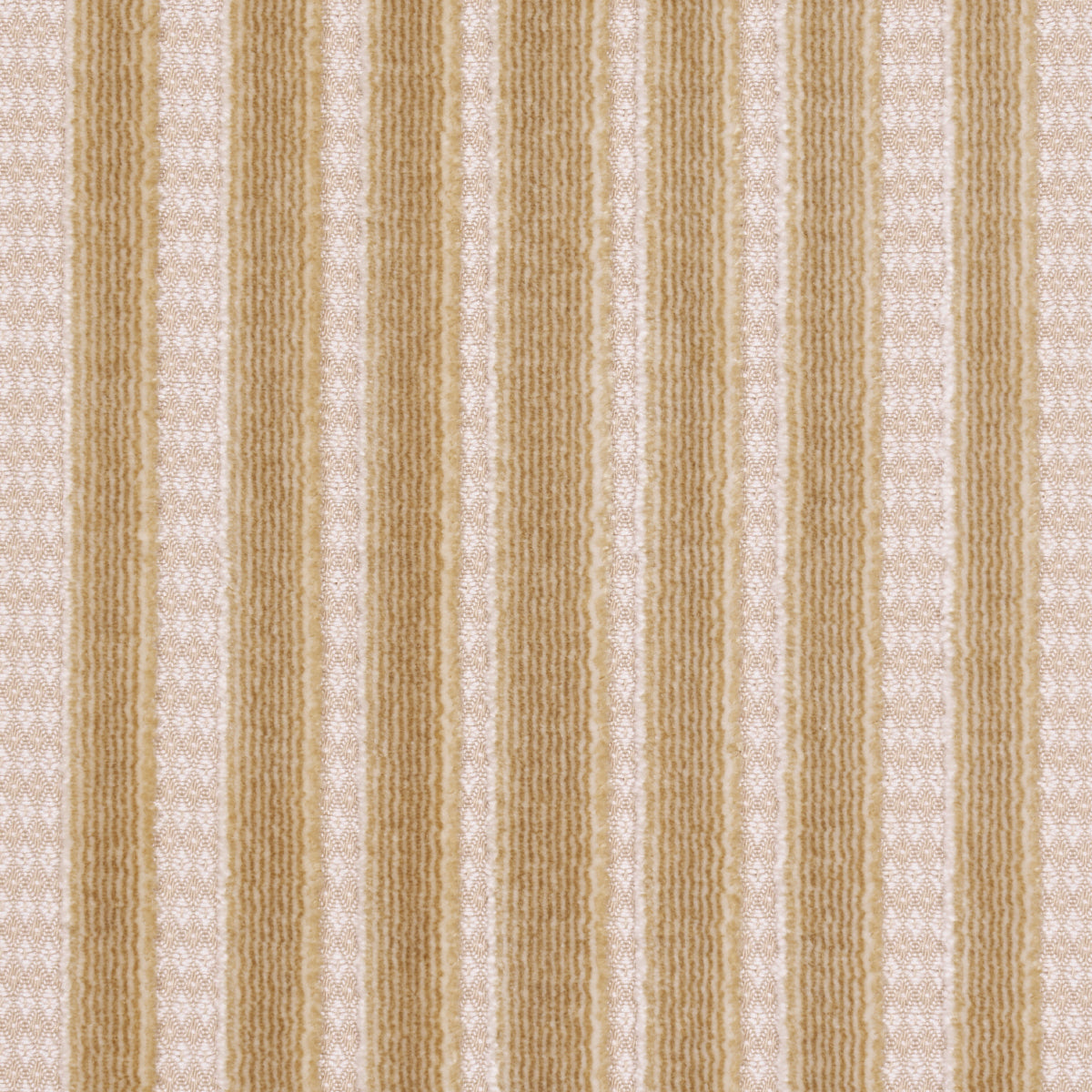 CHIMAY-STRIPE-VELVET-CHAMPAGNE-SCHUMACHER-82153