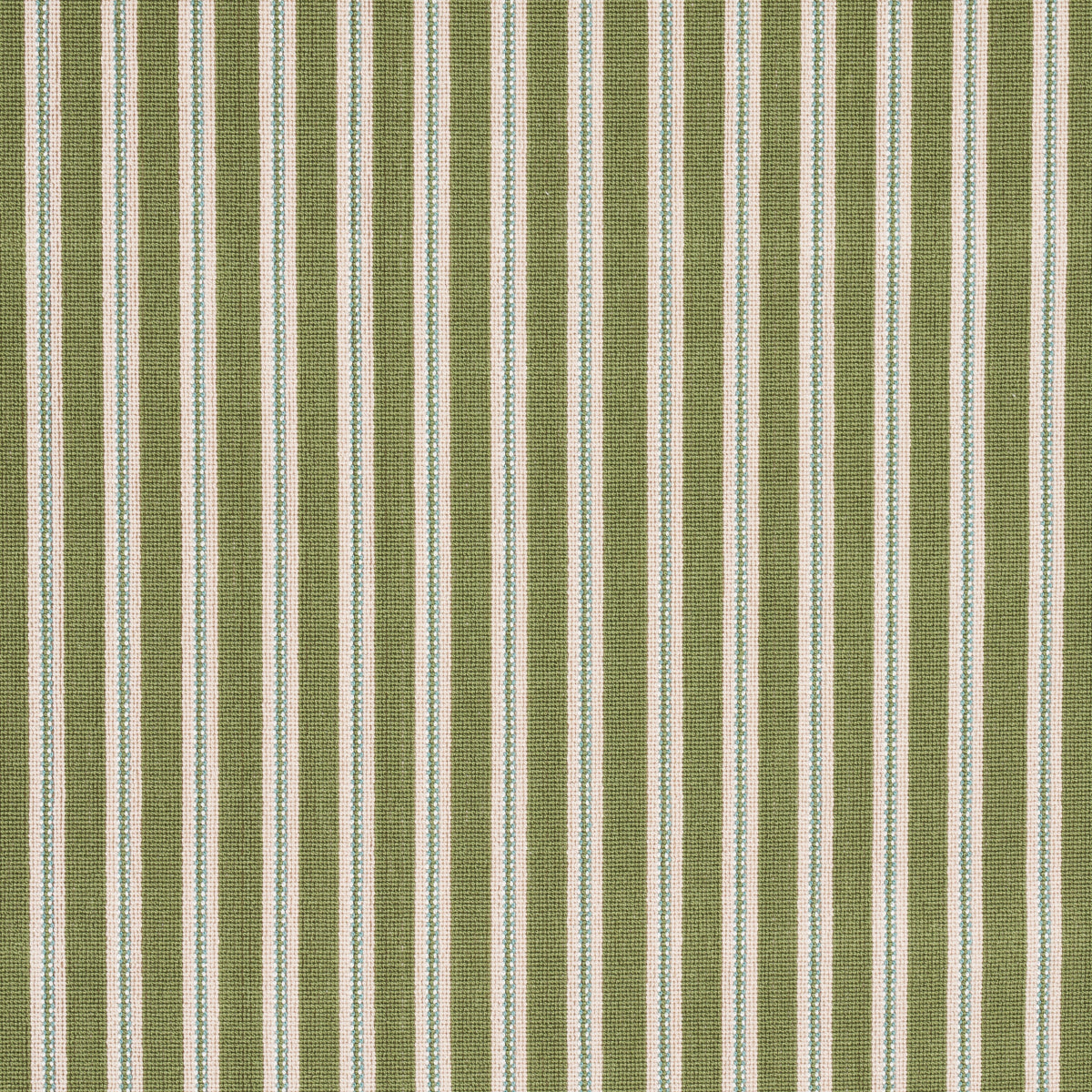 BENSON-STRIPE-PINGL-GREEN-SCHUMACHER-82181