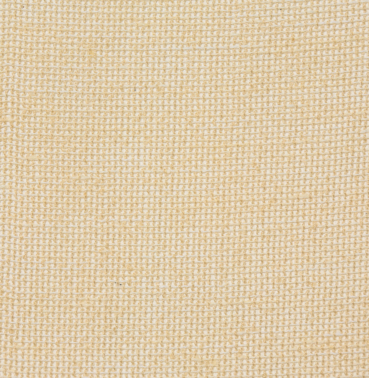 8255-leonard-champagne-pindler