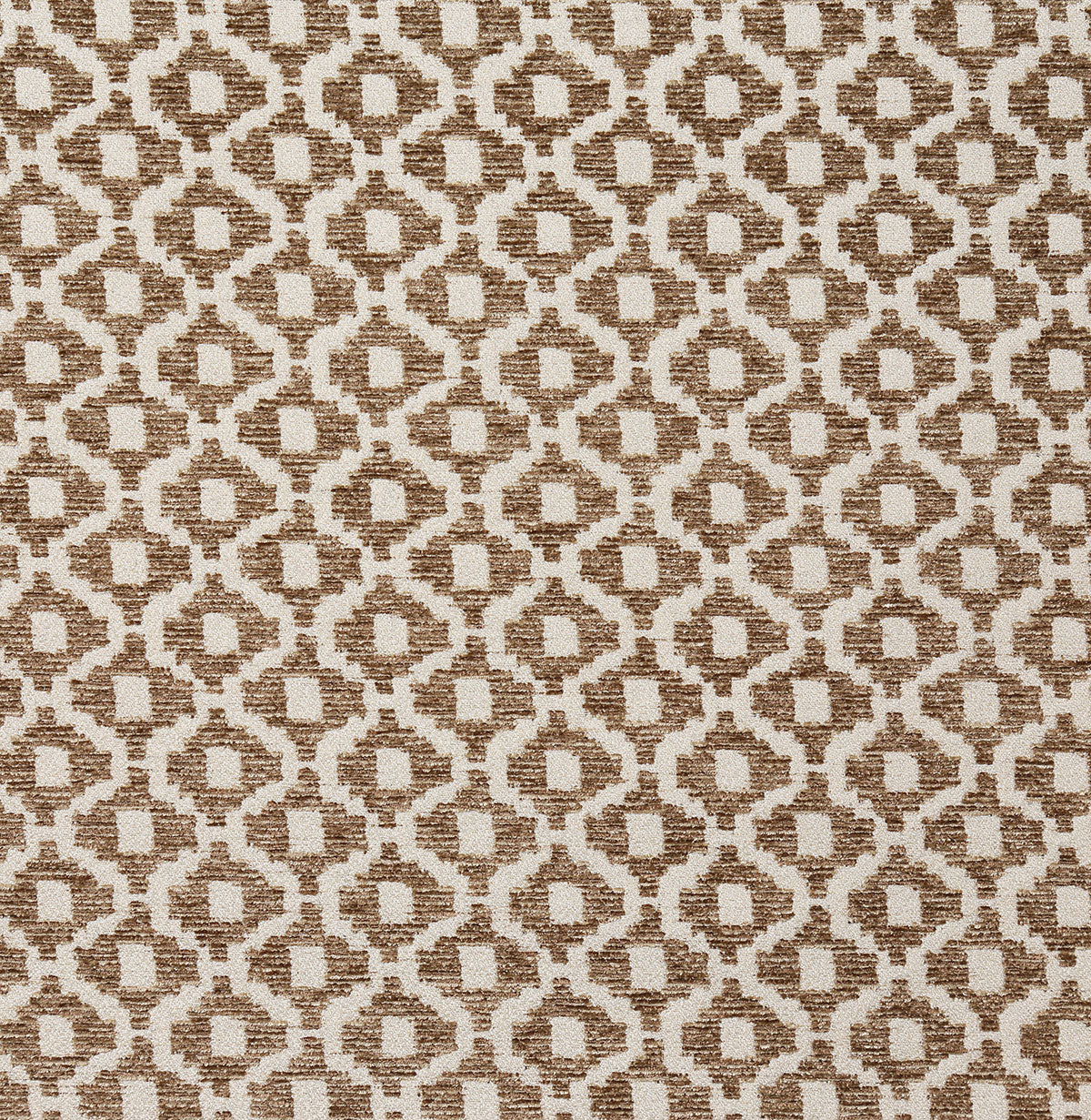 8268-acker-mushroom-pindler