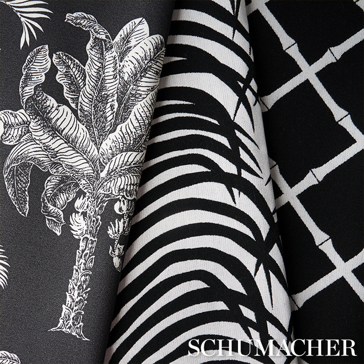 ZEBRA-PALM-INDOOR-OUTDOOR-BLACK-SCHUMACHER-82782