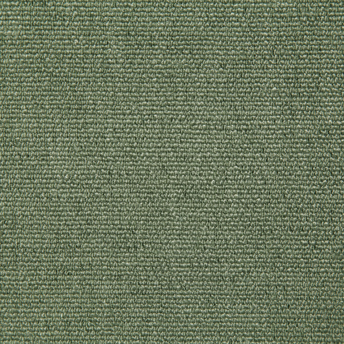 8294-lenny-cactus-pindler