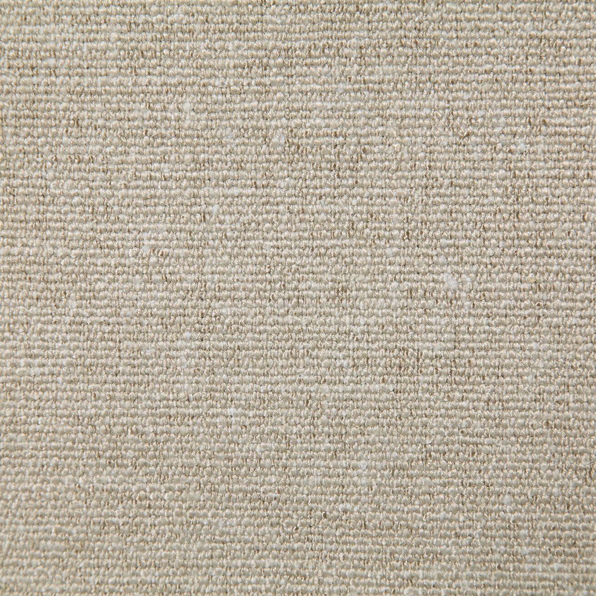 8294-lenny-dune-pindler