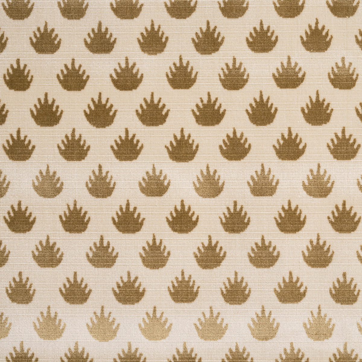CORONATION-VELVET-CAMEL-SCHUMACHER-82981