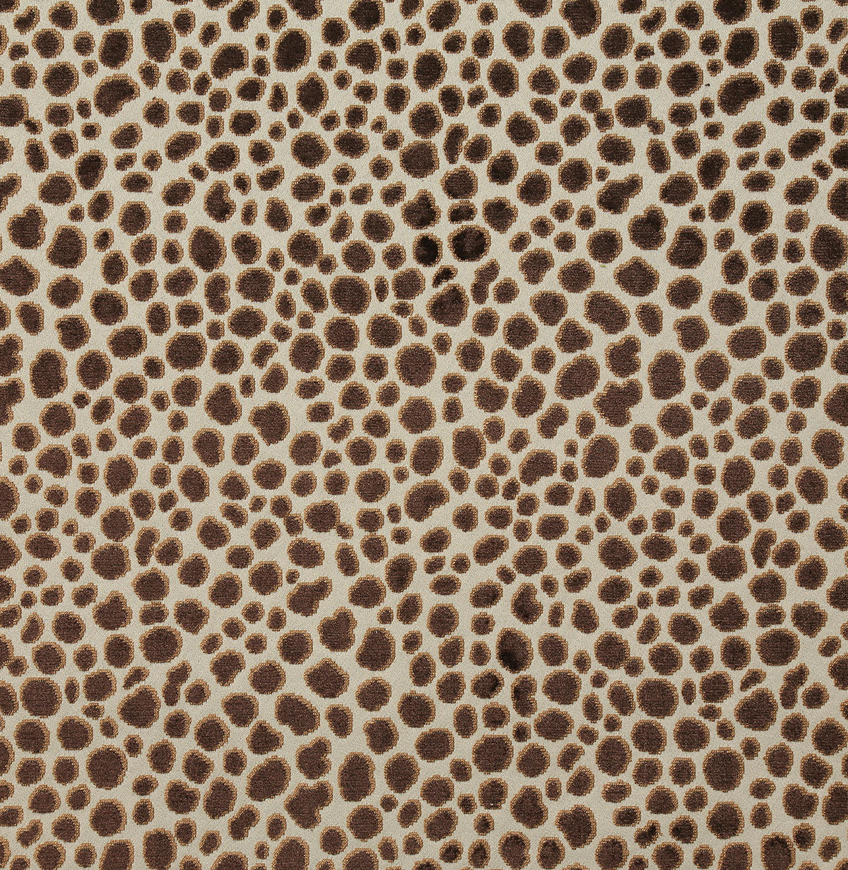 8302-magdalena-cocoa-pindler