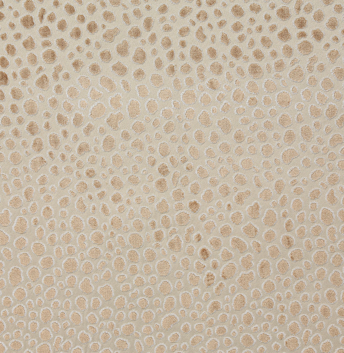 8302-magdalena-dune-pindler