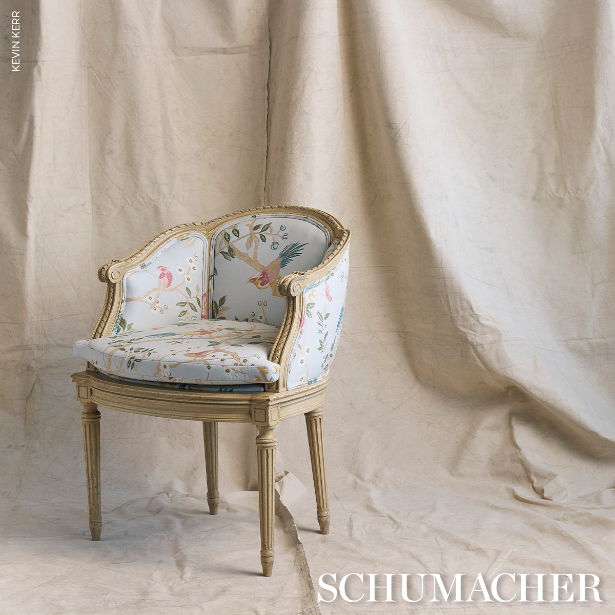 GEORGIA-VINE-SKY-SCHUMACHER-83151