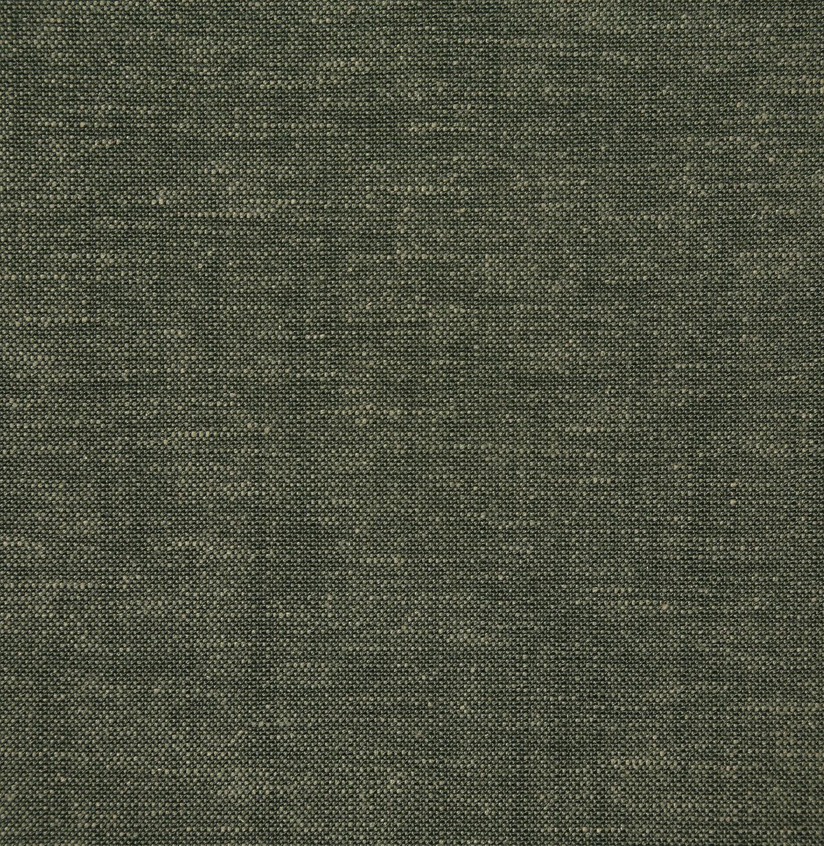 8342-gerald-pine-pindler