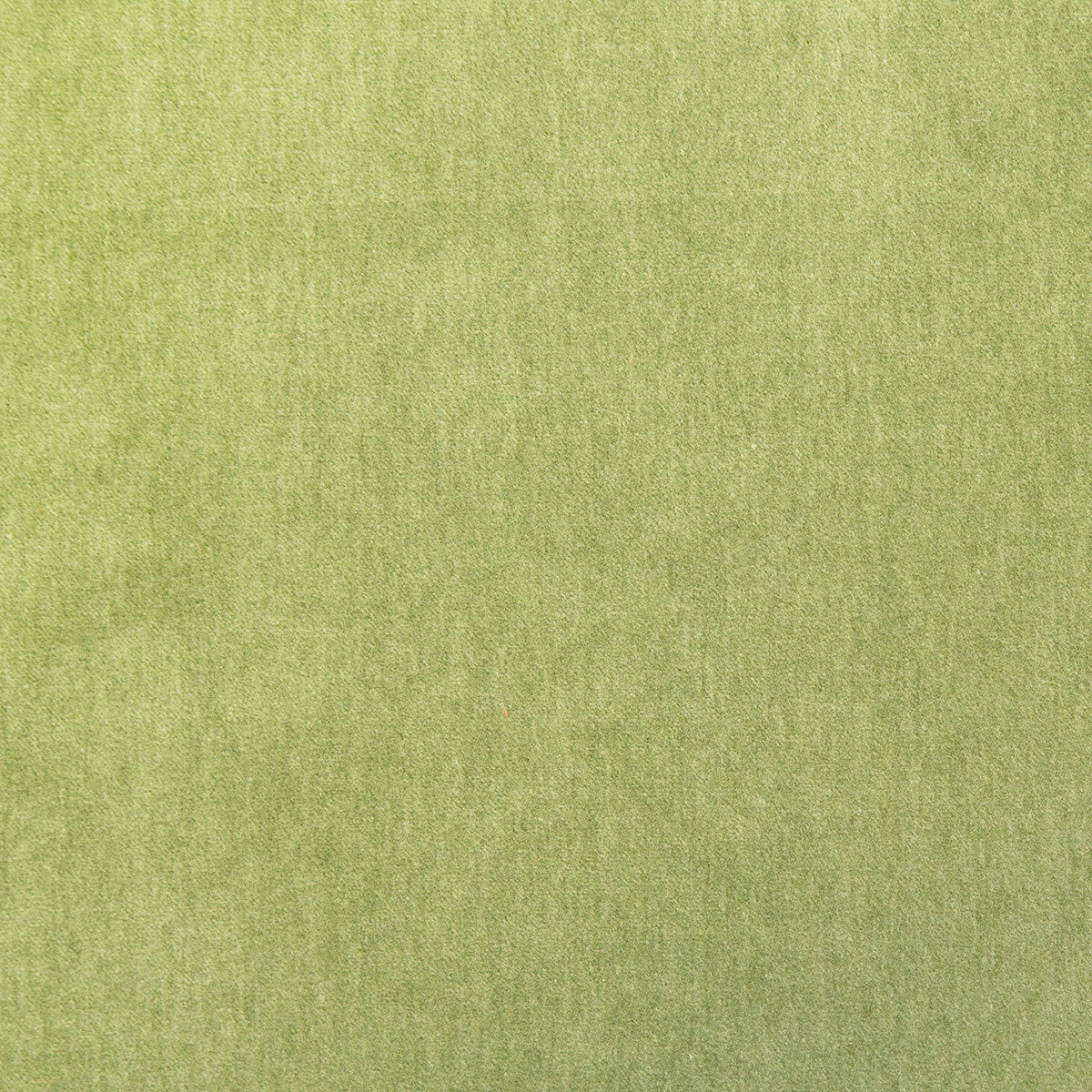 8348-kiara-palm-pindler - Pindler Fabric