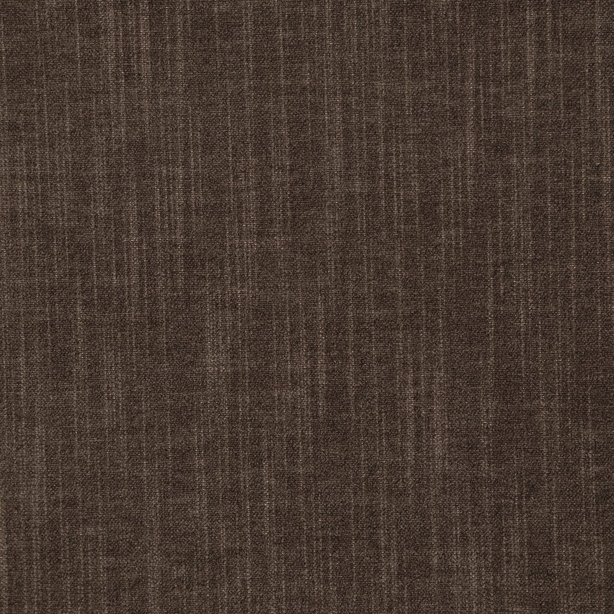 8362-kekoa-cocoa-pindler