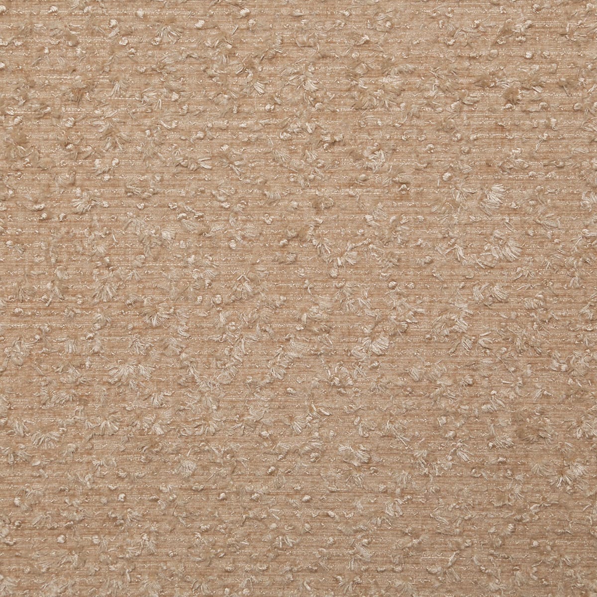8363-lilo-fawn-pindler