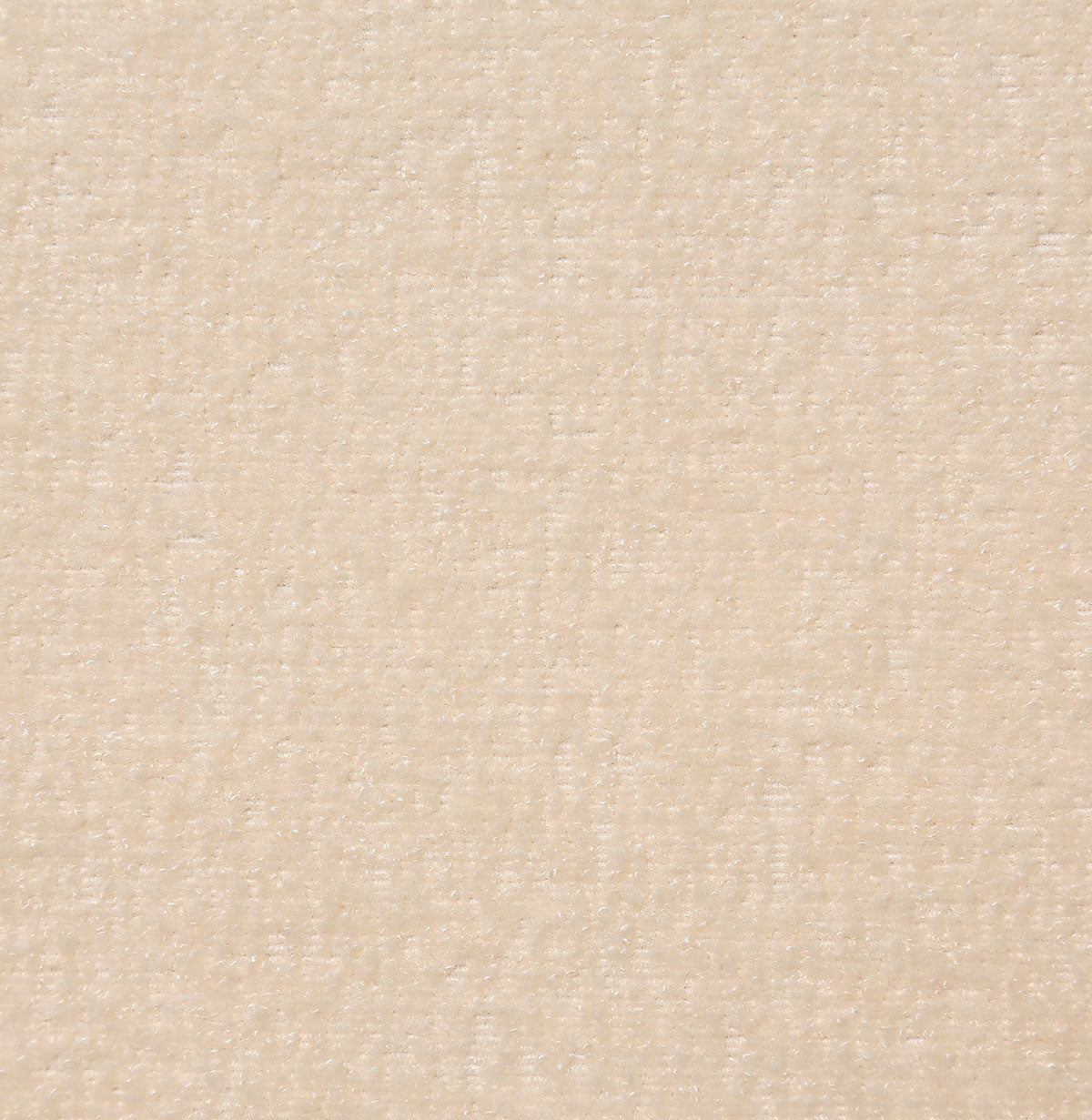 8367-amy-alpaca-pindler