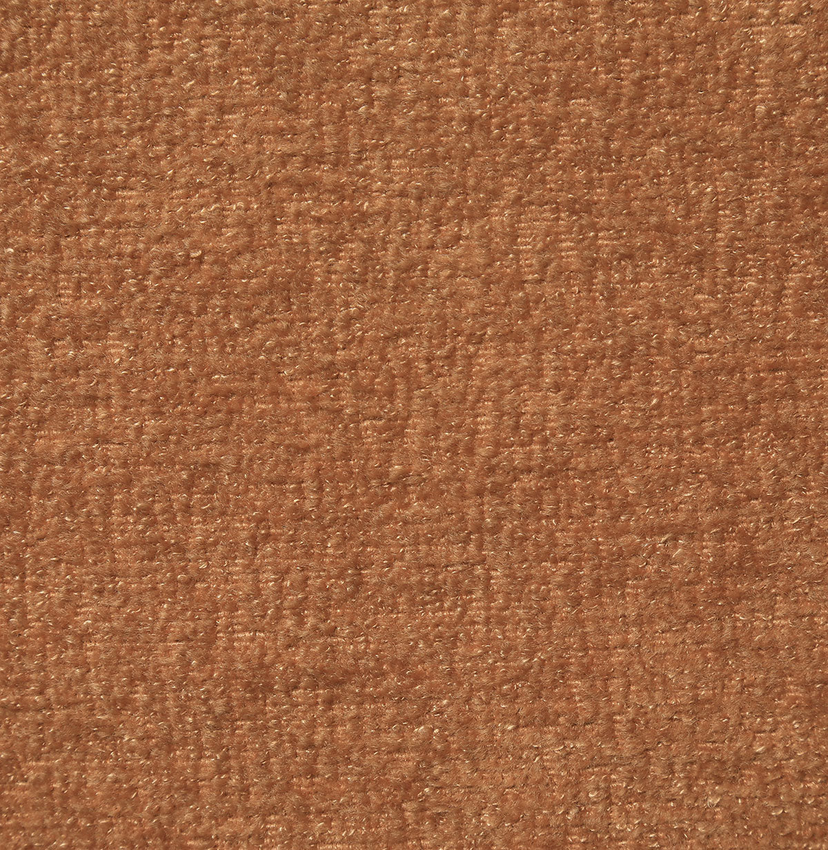 8367-amy-amber-pindler