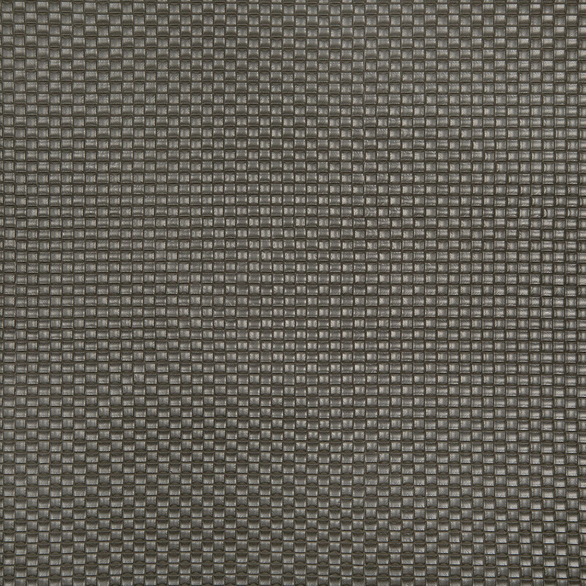 8368-kayce-cinder-pindler