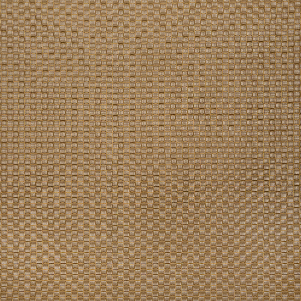 8368-kayce-dune-pindler