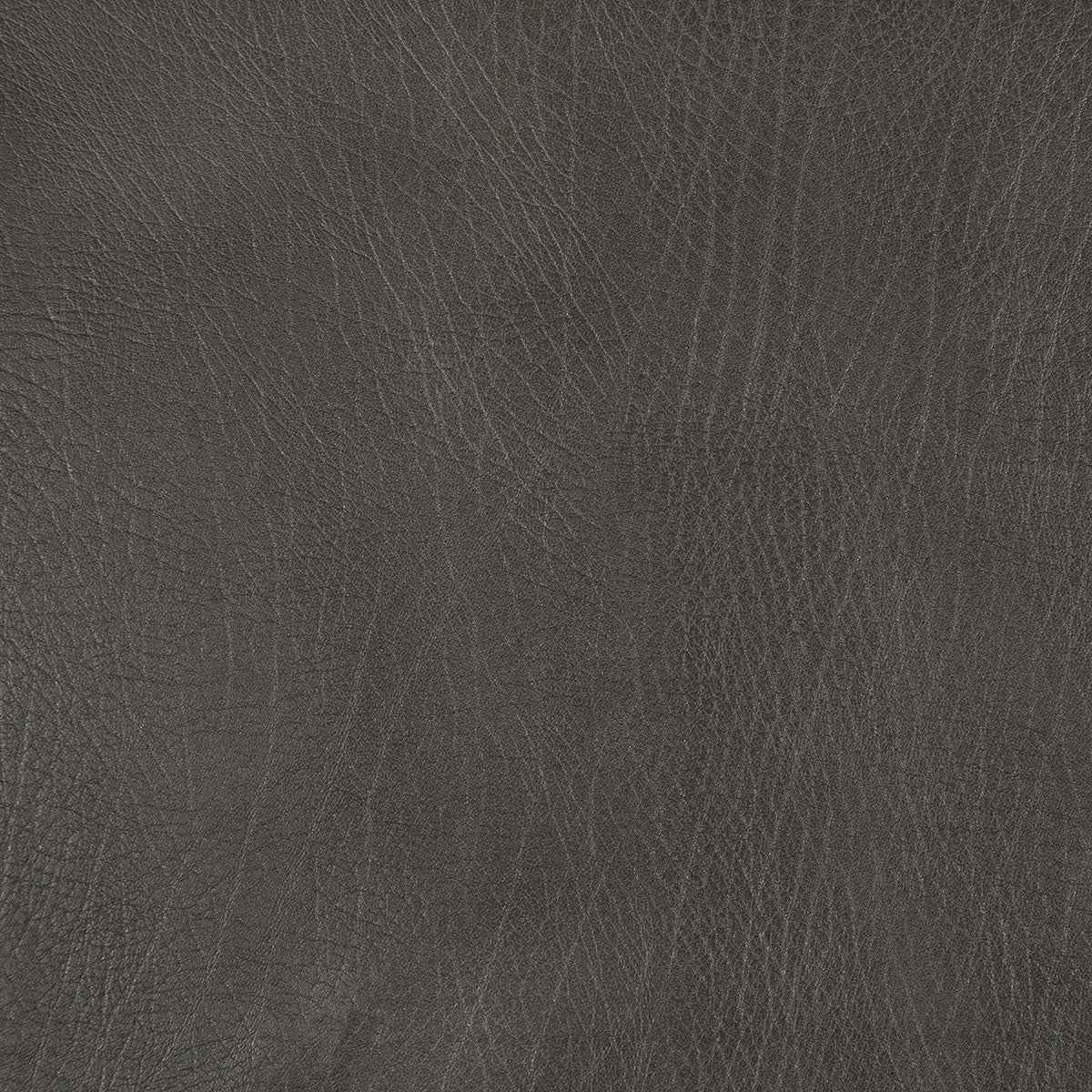 8371-rowdy-bark-pindler