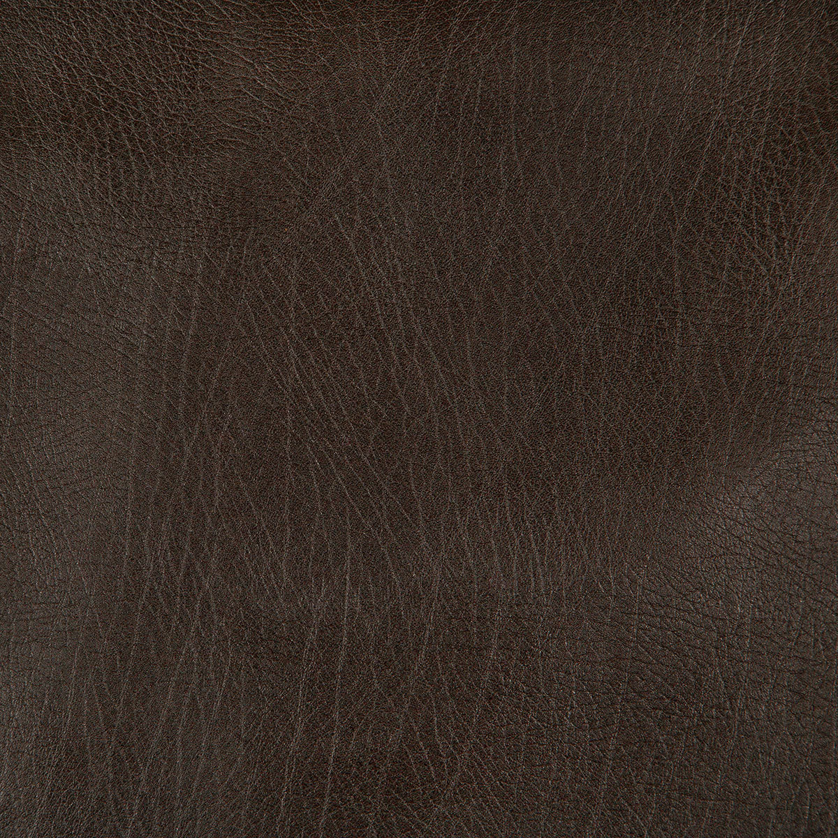 8371-rowdy-chocolate-pindler - Pindler Fabric
