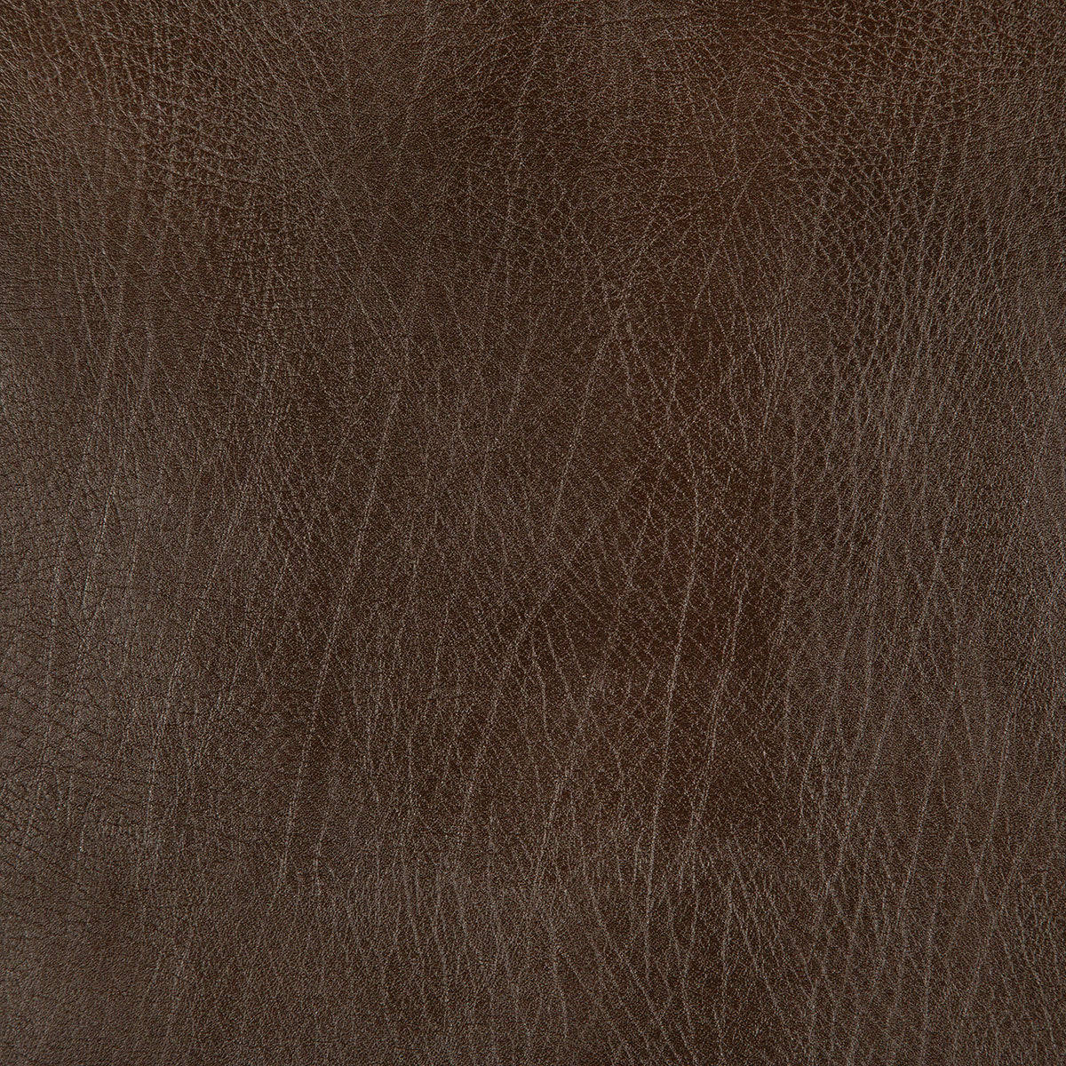 8371-rowdy-earth-pindler - Pindler Fabric