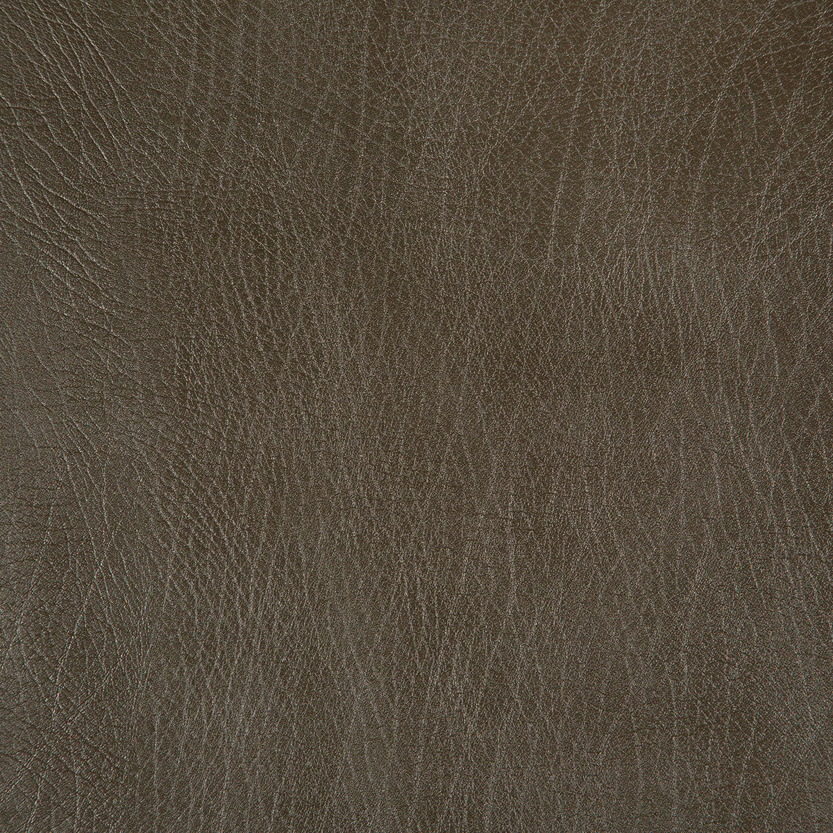8371-rowdy-moss-pindler
