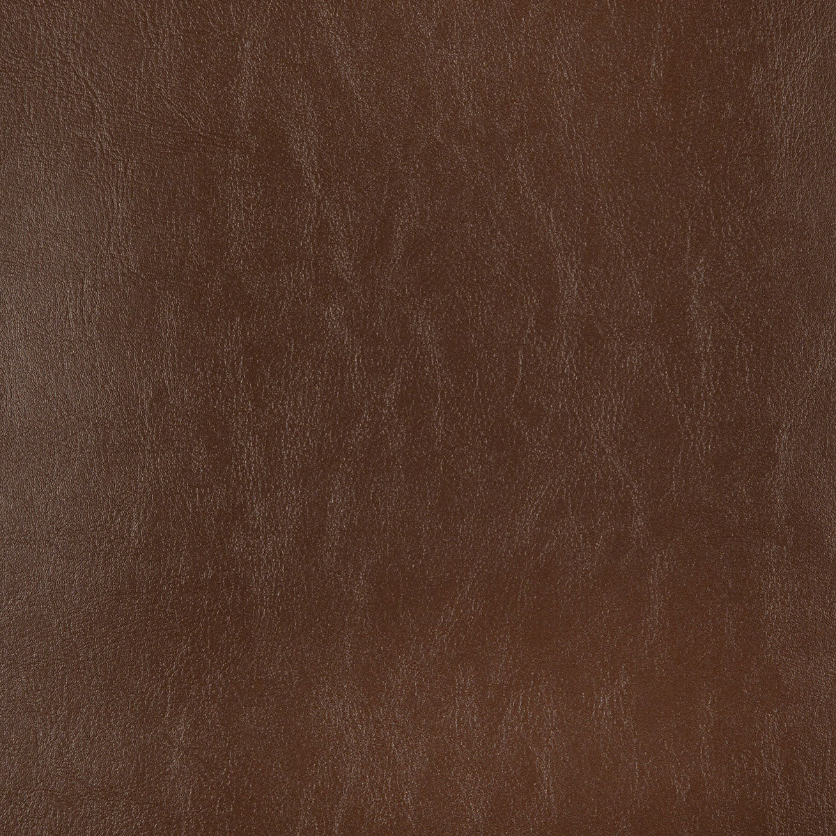 8372-carter-chocolate-pindler