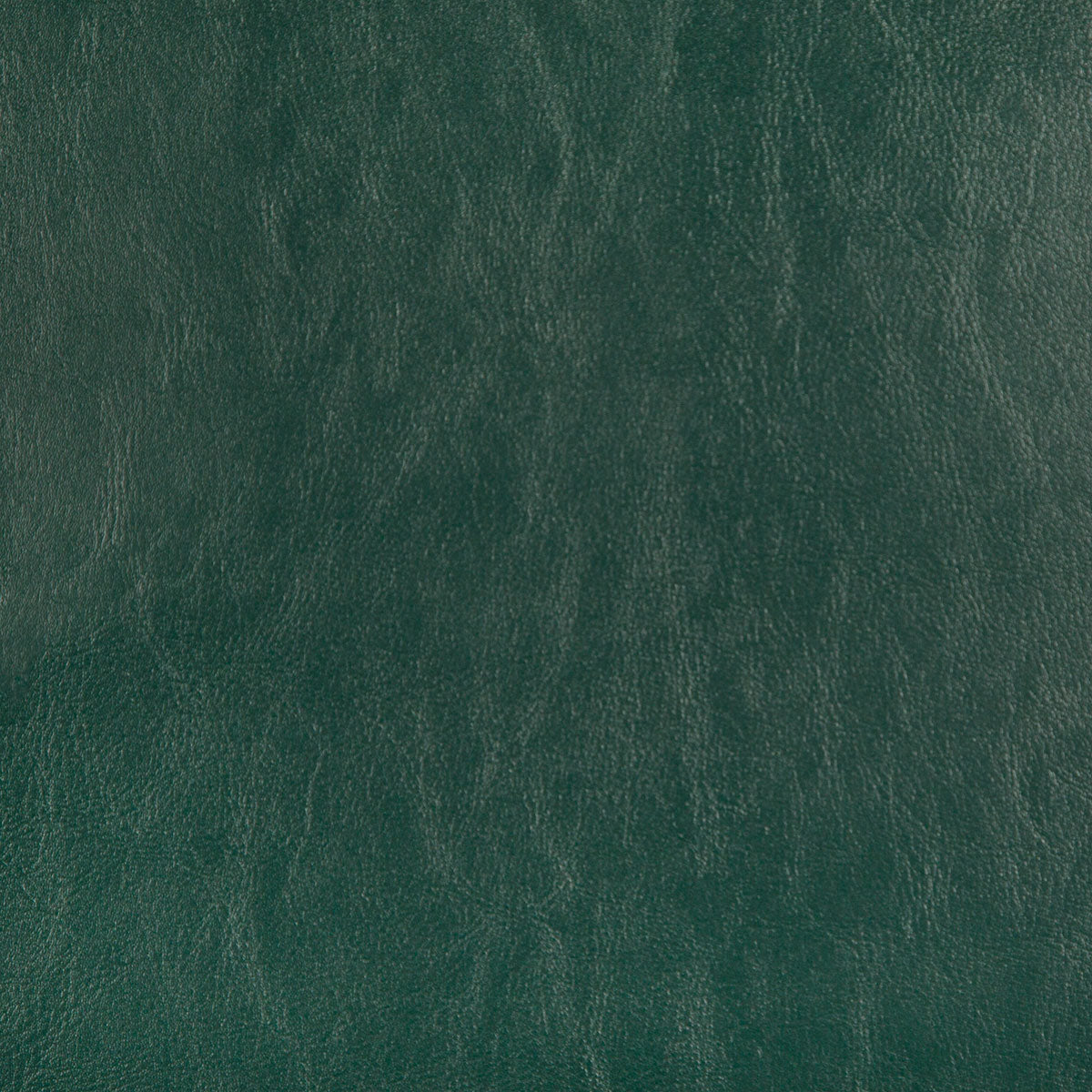 8372-carter-spruce-pindler