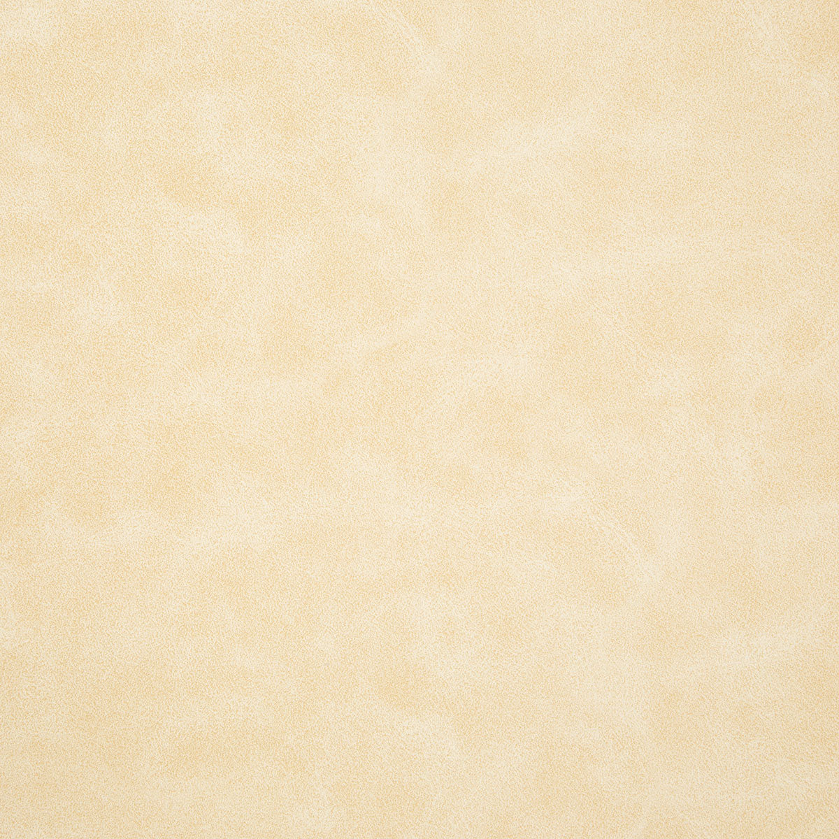 8373-higgins-bone-pindler