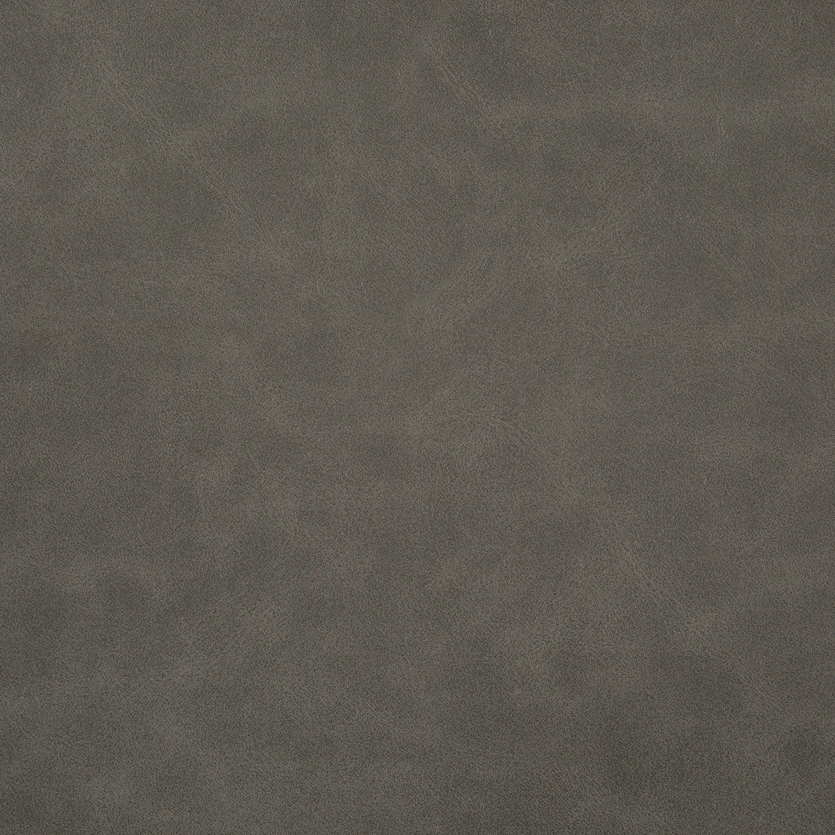 8373-higgins-grey-pindler
