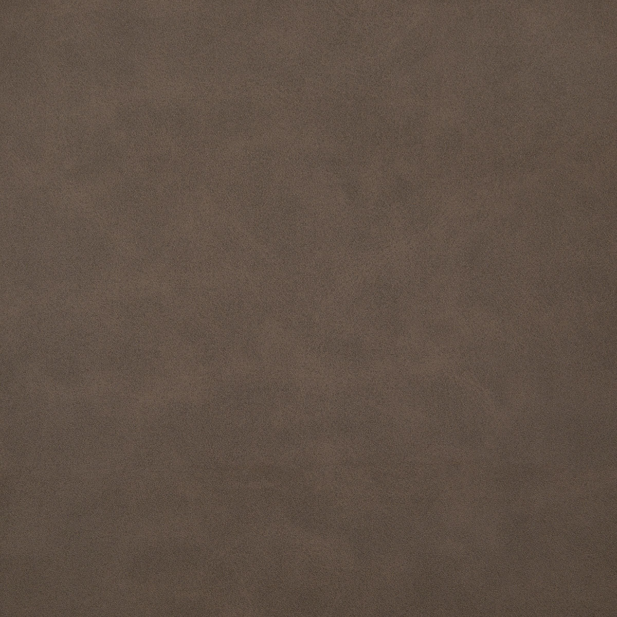 8373-higgins-mesquite-pindler