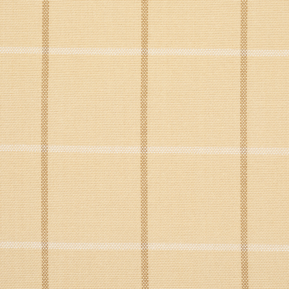 FRANNIE-WINDOWPANE-CAMEL-SCHUMACHER-83780