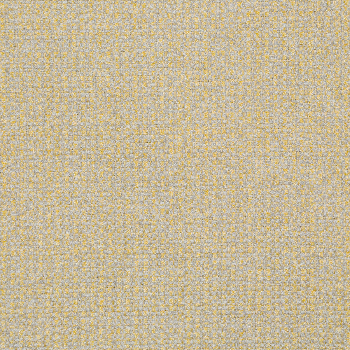 8381-agnes-canary-pindler