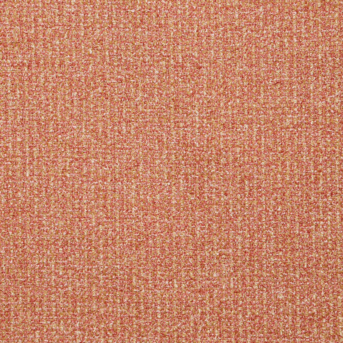 8381-agnes-coral-pindler