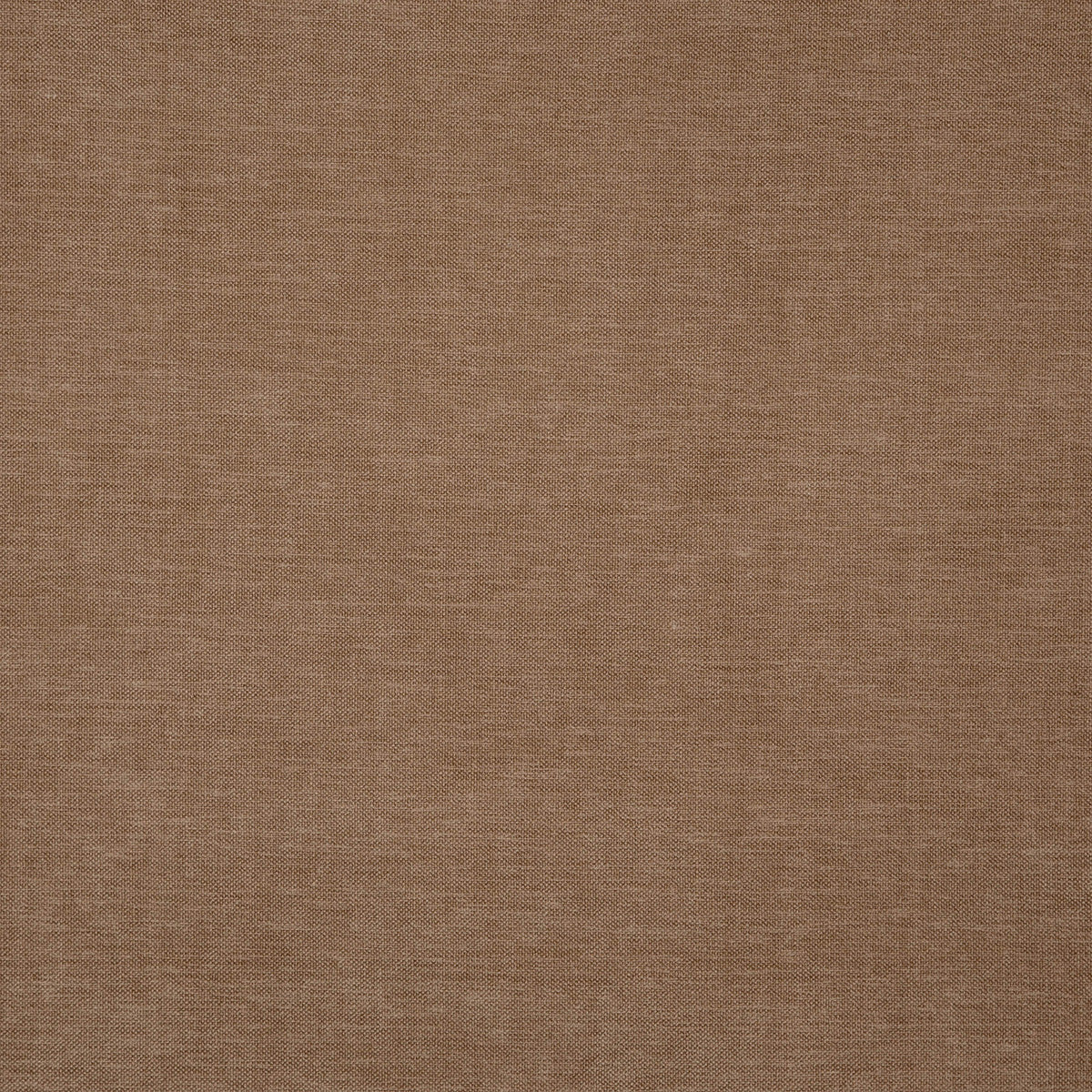 8402-paxton-dune-pindler