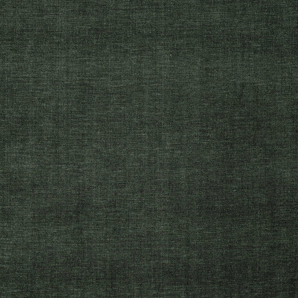8402-paxton-mallard-pindler
