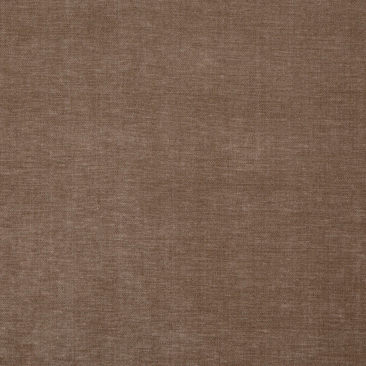 8402-paxton-sparrow-pindler
