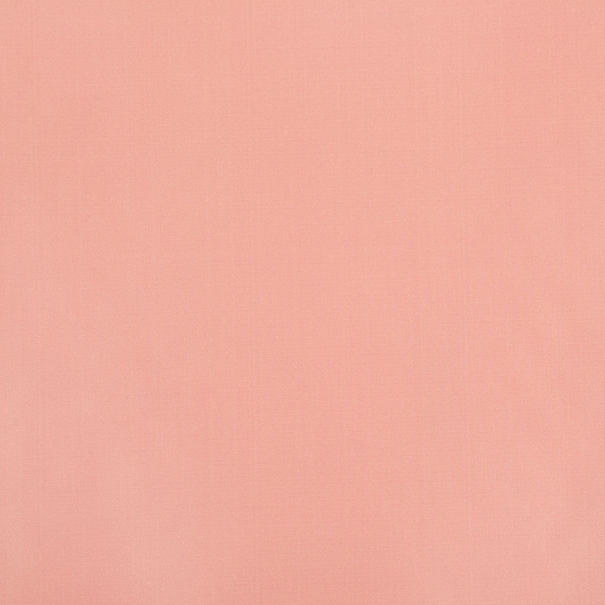 8403-raquel-ballet-pindler