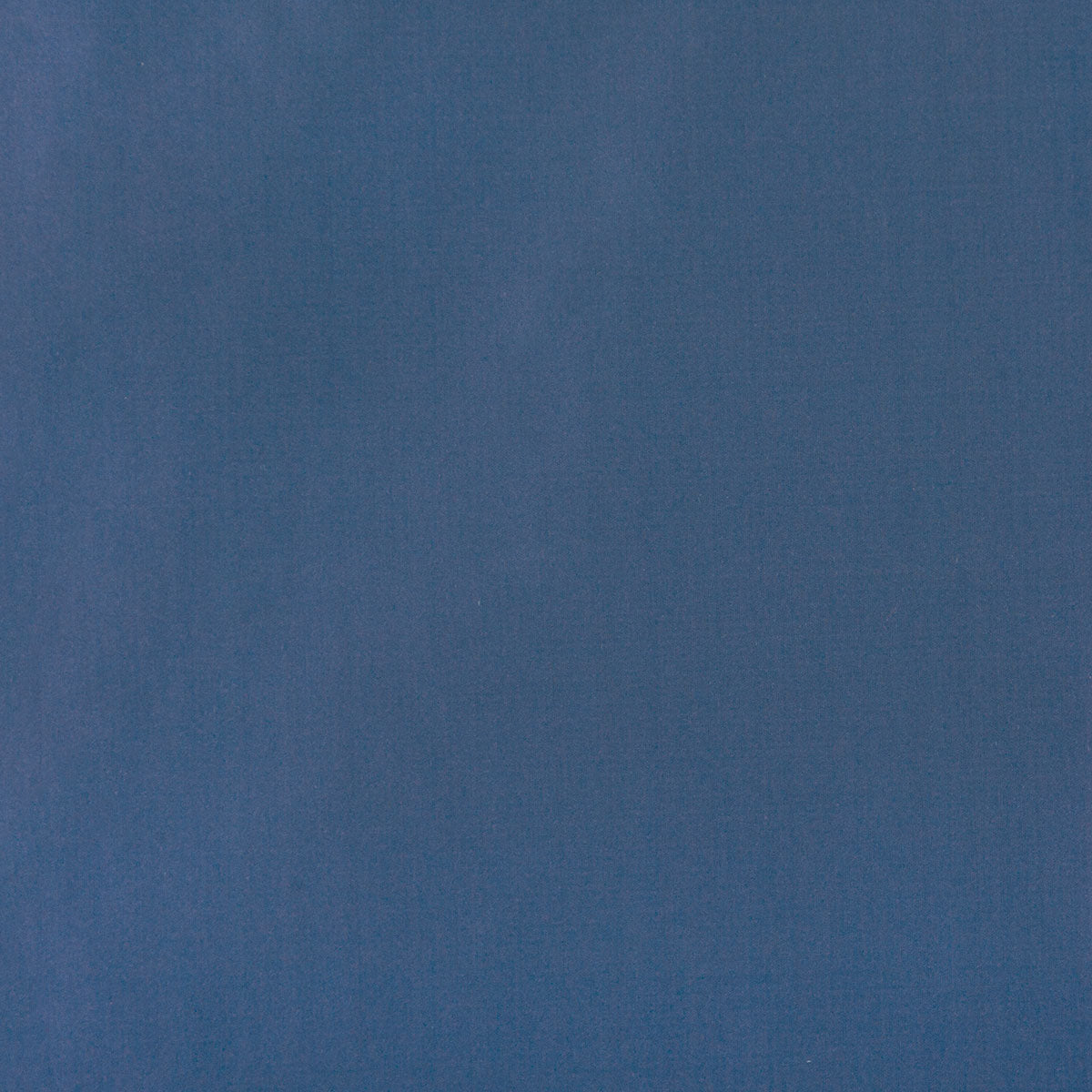 8403-raquel-blue-pindler