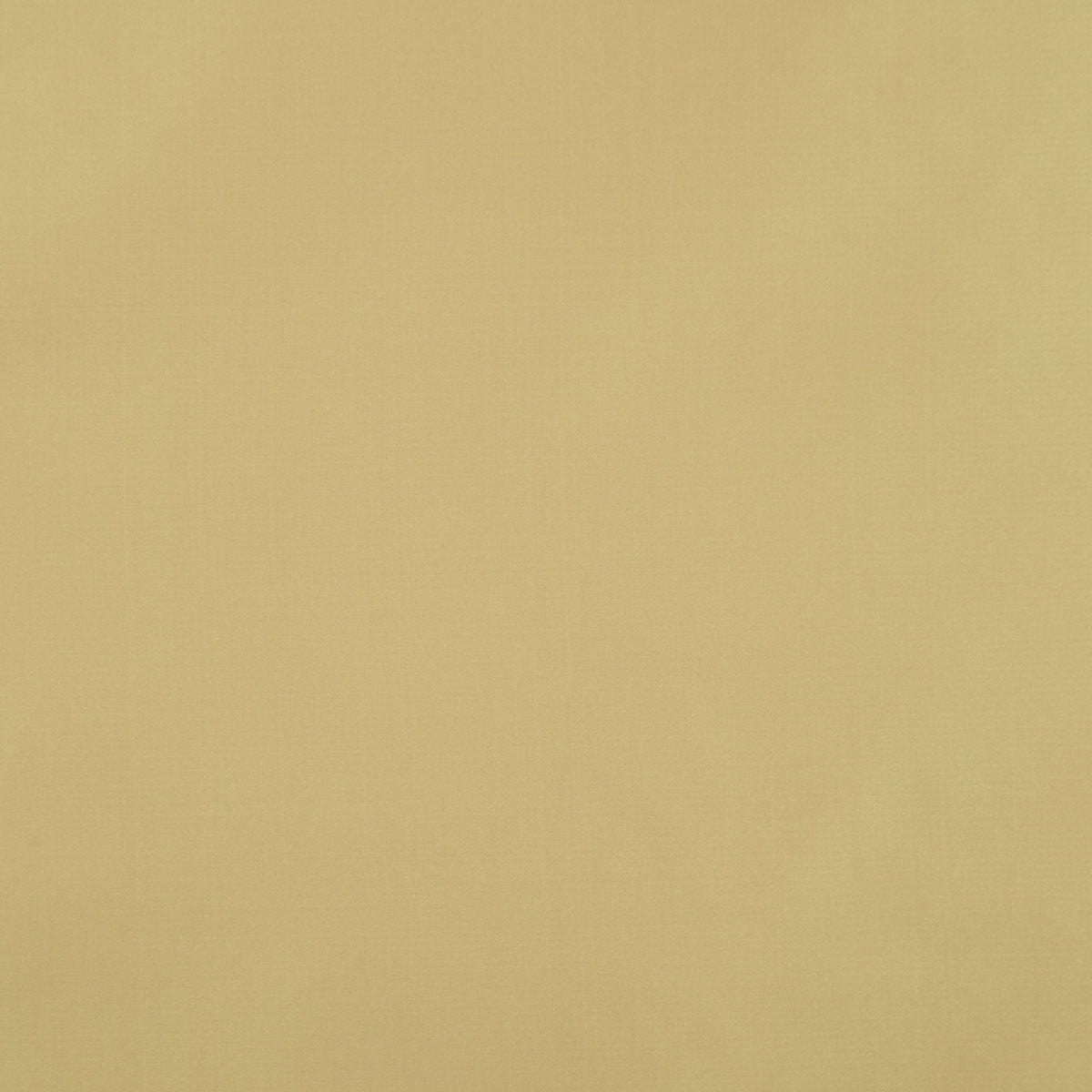 8403-raquel-glow-pindler