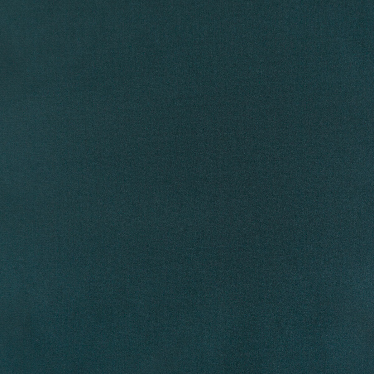 8403-raquel-indigo-pindler