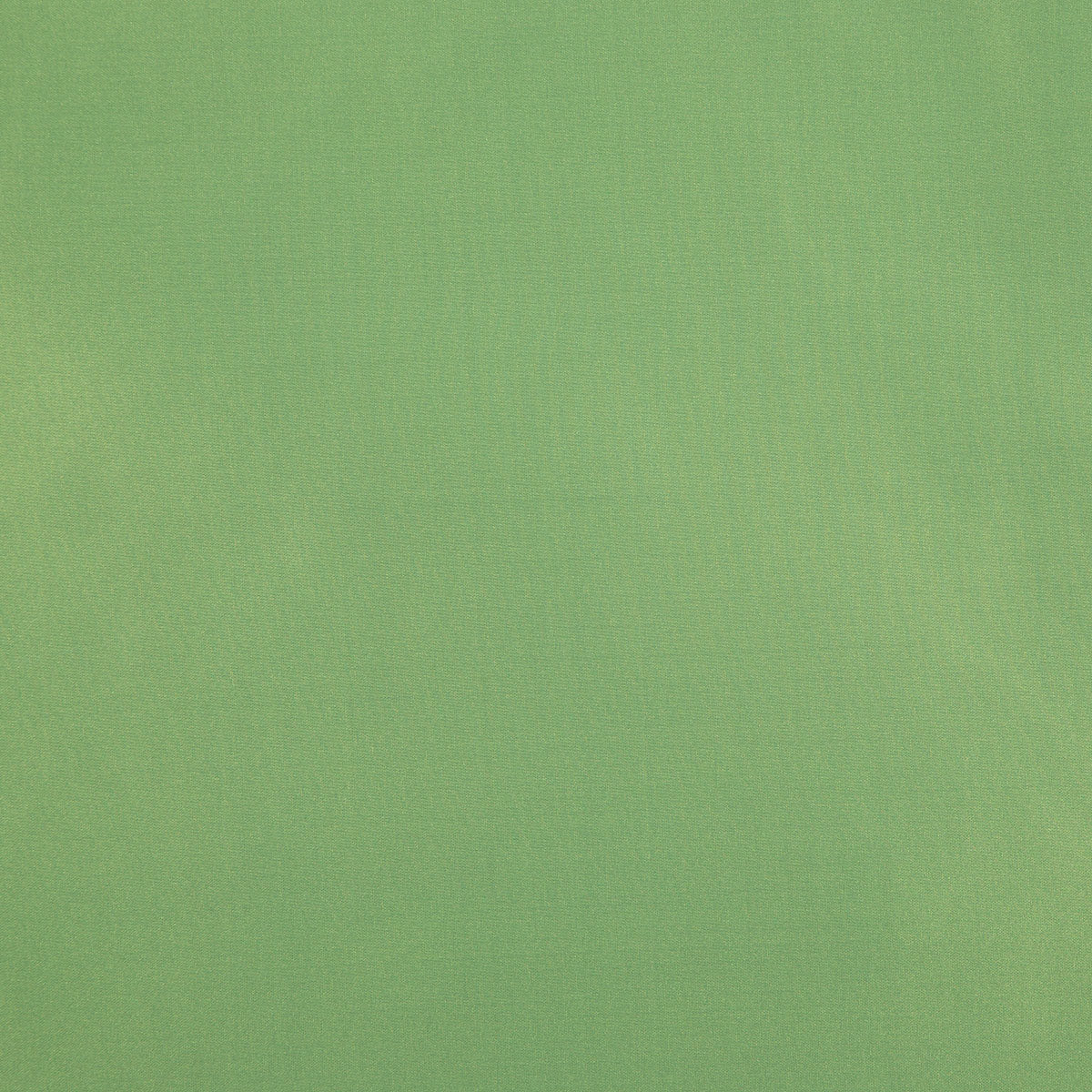 8403-raquel-leaf-pindler