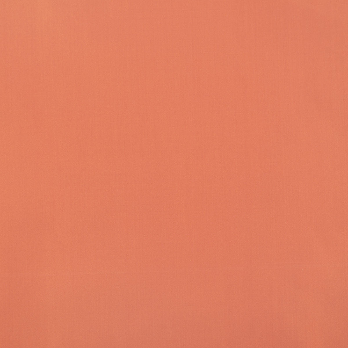 8403-raquel-papaya-pindler
