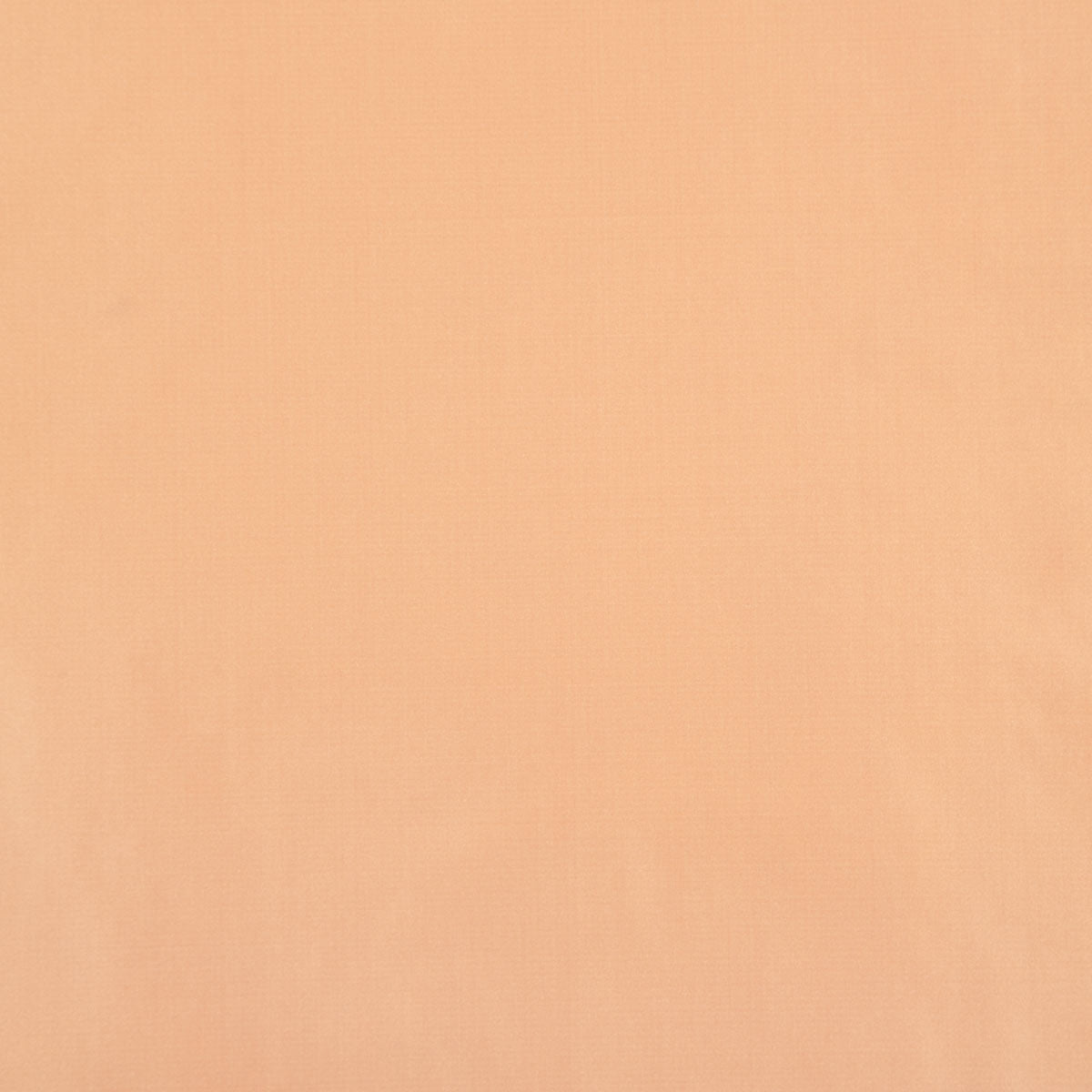 8403-raquel-peach-pindler
