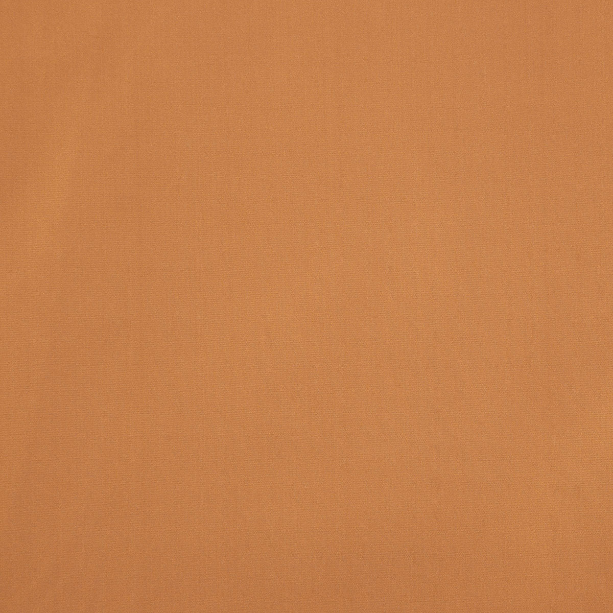 8403-raquel-sienna-pindler