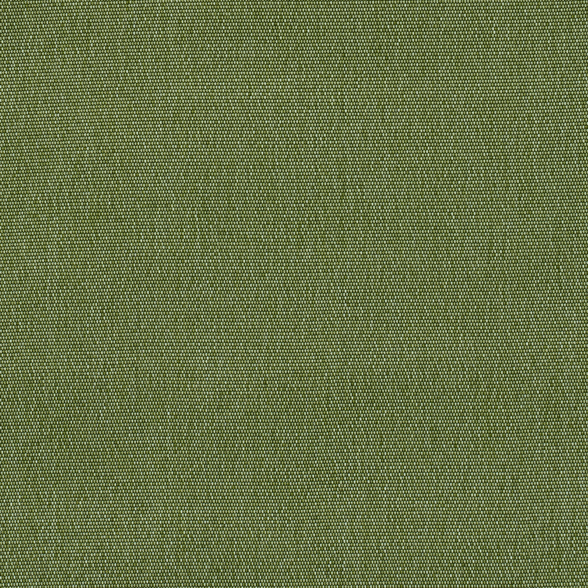 COOPER-INDOOR-OUTDOOR-GREEN-SCHUMACHER-84140