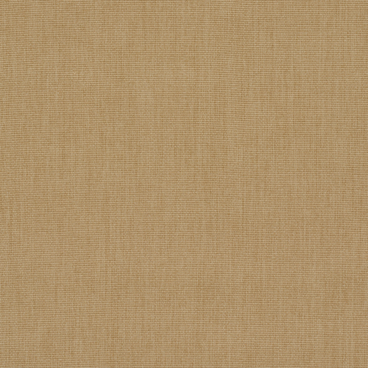 COOPER-INDOOR-OUTDOOR-SAND-SCHUMACHER-84146