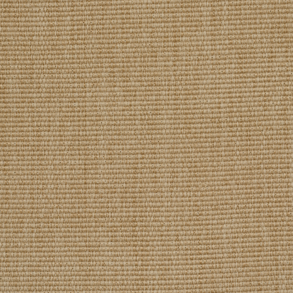 COOPER-INDOOR-OUTDOOR-SAND-SCHUMACHER-84146