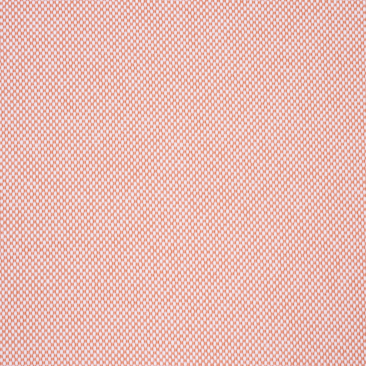 PIPPA-INDOOR-OUTDOOR-PETAL-SCHUMACHER-84170