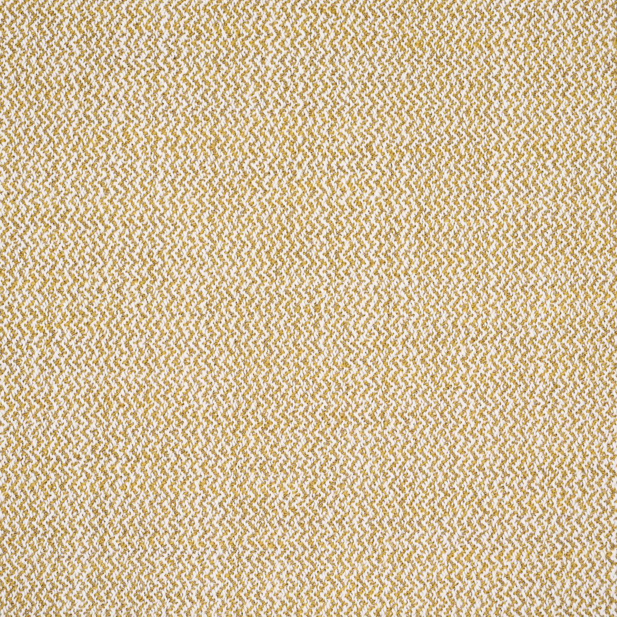 SIMON-INDOOR-OUTDOOR-OCHRE-SCHUMACHER-84181