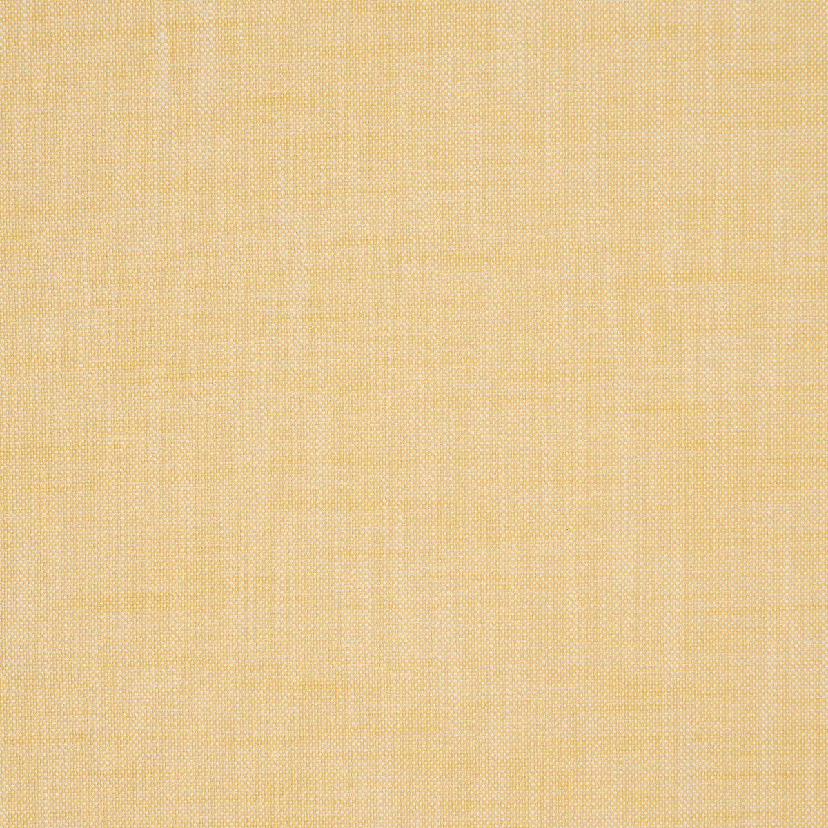 SASHA-INDOOR-OUTDOOR-YELLOW-SCHUMACHER-84237