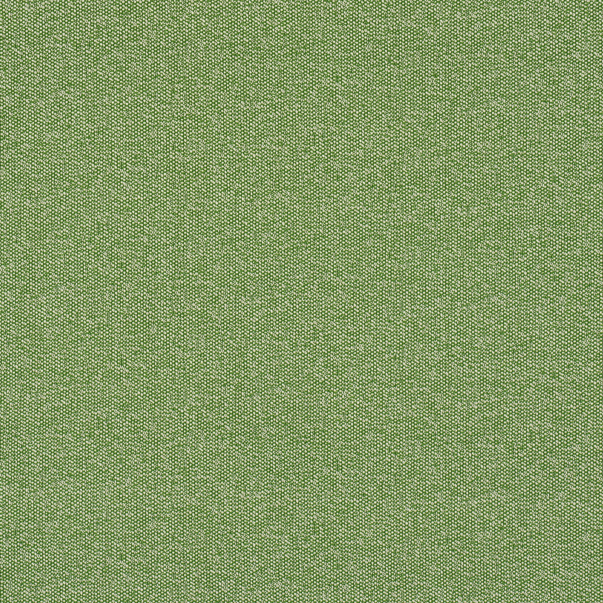 GUS-INDOOR-OUTDOOR-GRASS-SCHUMACHER-84341